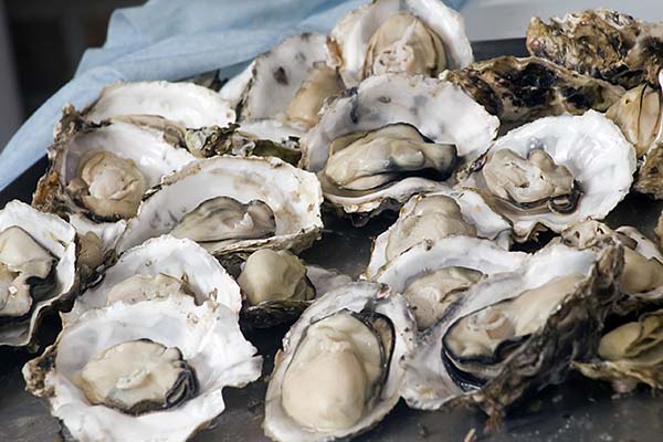Does eating oysters help increase height?
